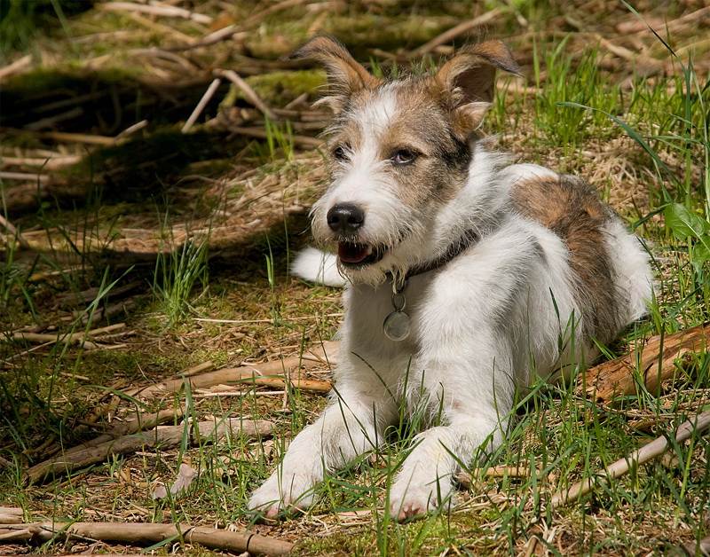 Kopie von Felix Südtirol D35_4935 als Smart-Objekt-1 Kopie.jpg